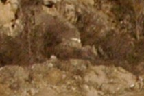 6440-210x140