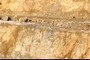 Gray limestone