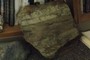 Mudcracks and Rip-up Clasts