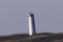 65255-210x140