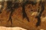Fun patterns in the desert varnish