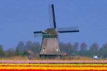 65622-210x140