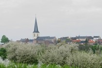 65732-210x140