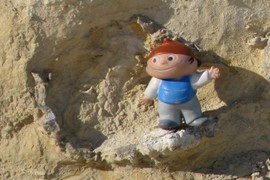 Little Guy Waving from an Inoceramus Shell