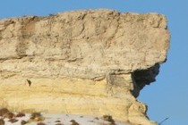 6745-210x140