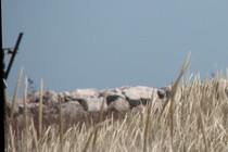 67570-210x140