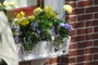 window box