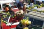 planter
