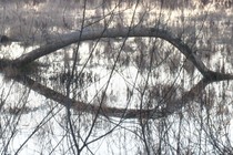 7568-210x140