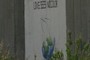 Love Sees No Color grafitti on The Wall