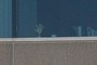 High Five!