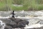 Fisherman in the Zambesi