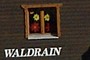 Waldrain