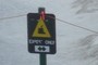 Experts Only