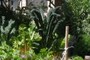 Kale!