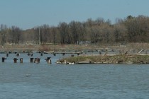 67765-210x140