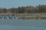 Oshawa Yacht Club
