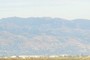Lick Observatory