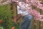 Working In The Yard