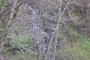 Another Waterfall