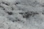 Volcanic Ash