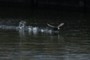 Water departure