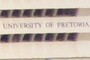 University of Pretoria