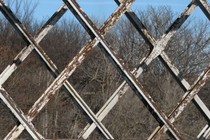 6925-210x140