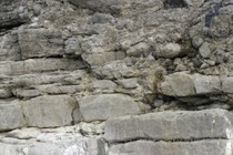 69064-210x140