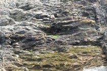 69252-210x140