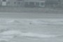 Surfer