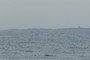 Isle of Shoals