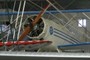 Driggs Dart II