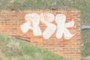 Graffiti