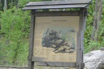 69685-210x140