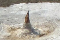 69852-210x140