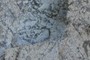 Autobrecciated Rhyolite