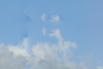 70604-210x140