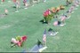 Remembrance