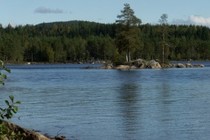 70781-210x140