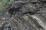Folds &amp; Thrusts, Broadhaven
