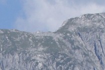 7321-210x140