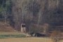 The remains of the old local shooting range