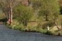 Fishing for Redsides
