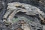Fault Propagation Fold Broadhaven
