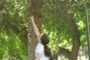 reaching