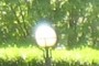 garden gazing globe