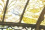 Painted glass peacock detail