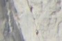 Two climbers