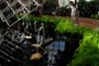 Visitors to Phipps Conservatory